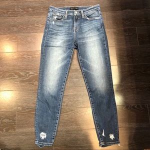 Flying Monkey Ankle Skinny Jeans